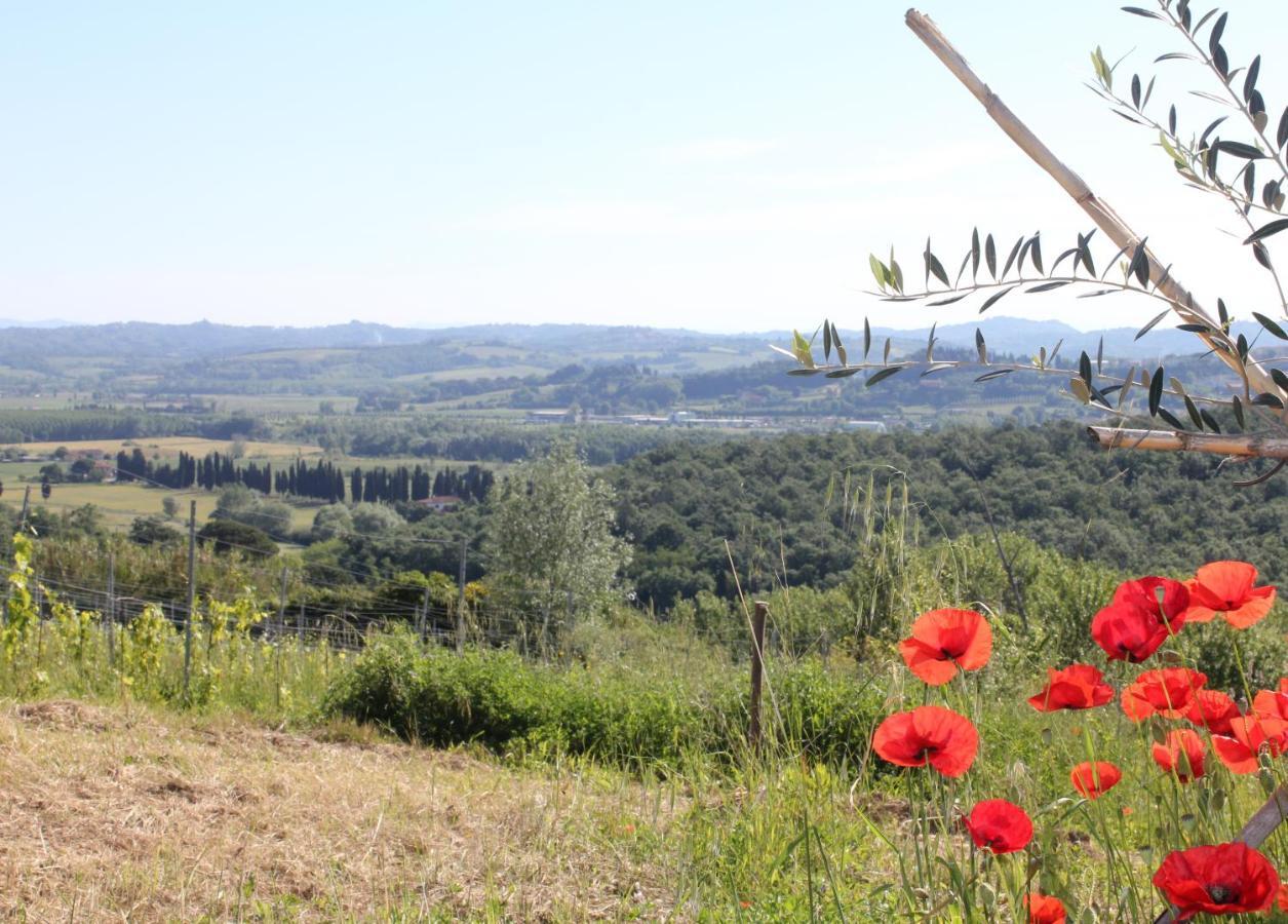 Appartement Tuscany Life à Terricciola Extérieur photo