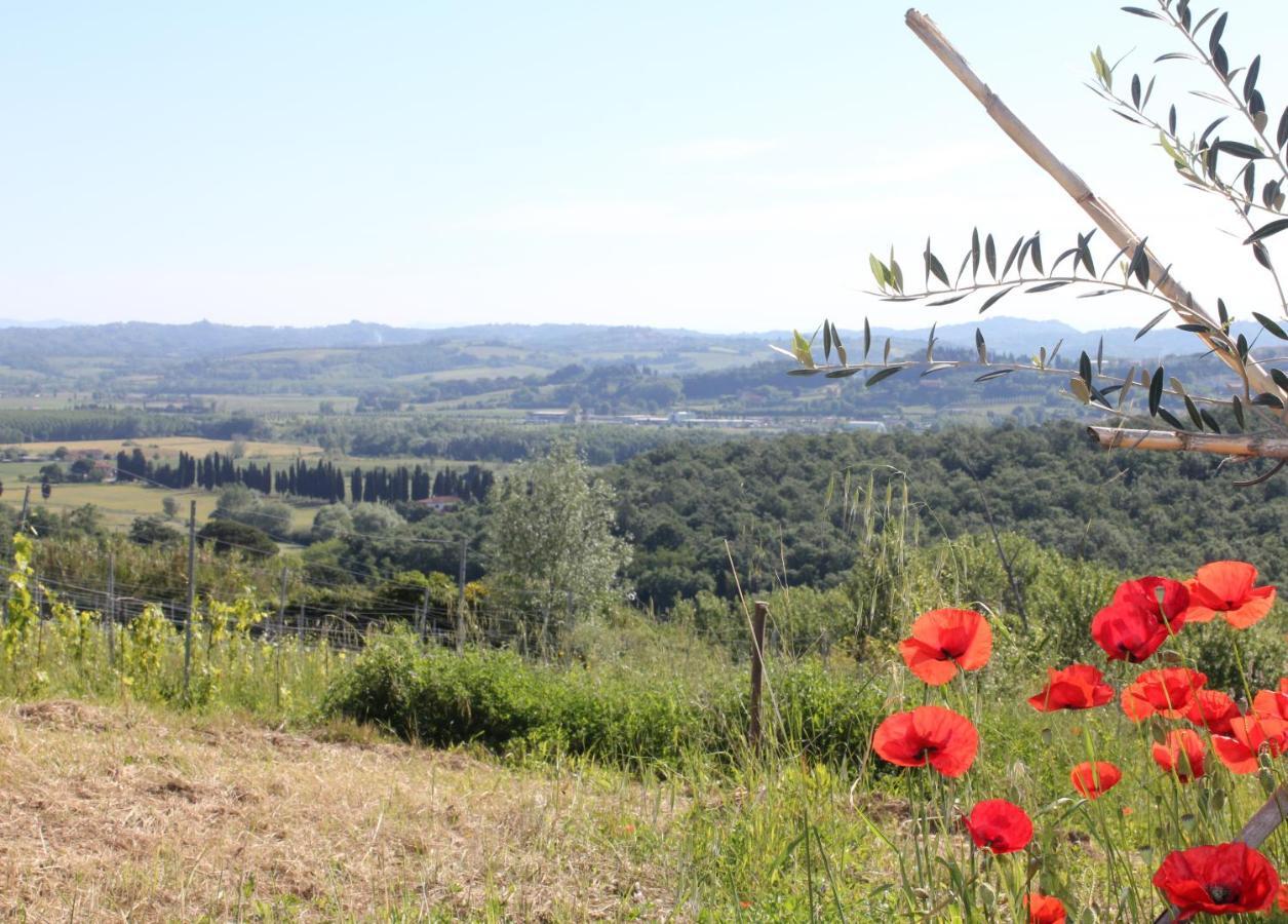 Tuscany Life Terricciola Extérieur photo